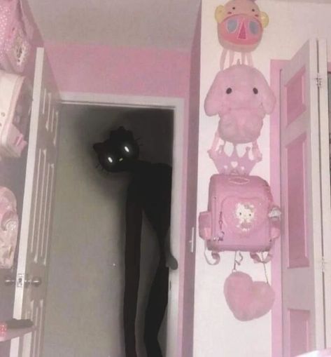 Pinkcore Aesthetic, Ghost Fairy, Mr Kitty, Kawaii Kuromi, Pink Room, Black Cat, Hello Kitty, Kitty