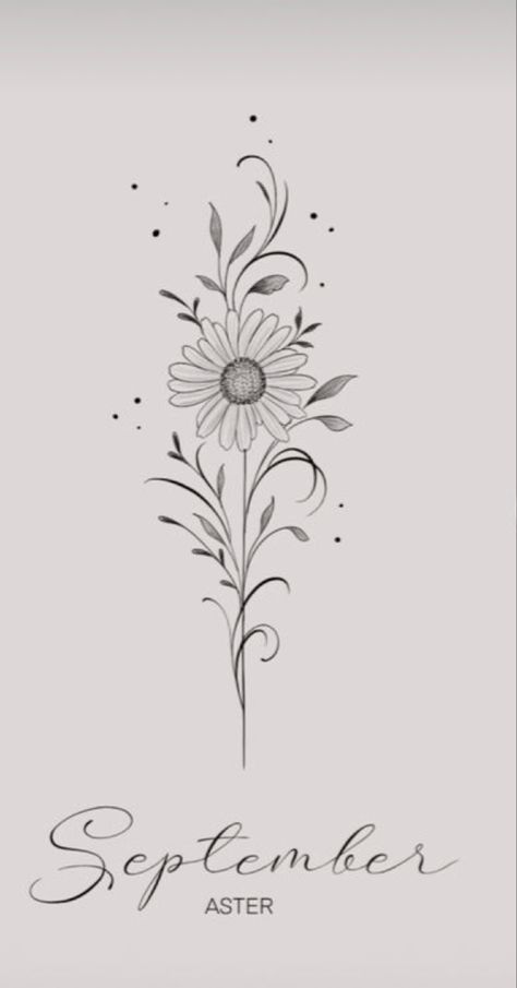 Tattoos Birth Flowers, December Birth Flower Tattoo, Aster Tattoo, Aster Flower Tattoos, September Aster, December Birth Flower, September Birth Flower, September Flowers, Flower Tattoo Drawings