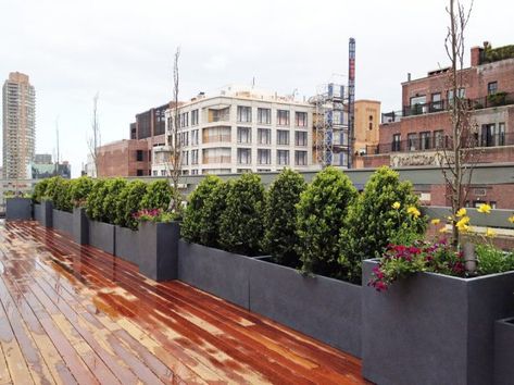 19 Most Fabulous Privacy Screen for Deck Railing Ideas You Must Look Nyc Garden, Reling Design, Rooftop Planters, Privacy Screen Deck, Terrace Roof, Contemporary Deck, Rooftop Patio Design, Deck Railing Design, Roof Gardens