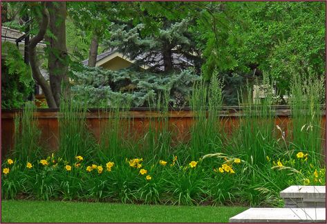 Plant pairs | Not Another Gardening Blog Stella Doro Daylily Landscaping, Yellow Daylilies, Karl Forester, Calamagrostis Acutiflora, Cottage Gardening, Deck Landscaping, Green Ideas, Border Plants, Fence Landscaping