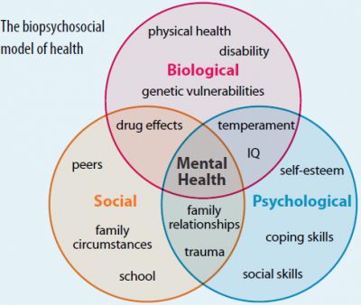 Lmsw Exam, Social Work Theories, Social Work Interventions, Lcsw Exam, Social Work Exam, Social Work Practice, Detox Kur, Clinical Social Work, School Social Work