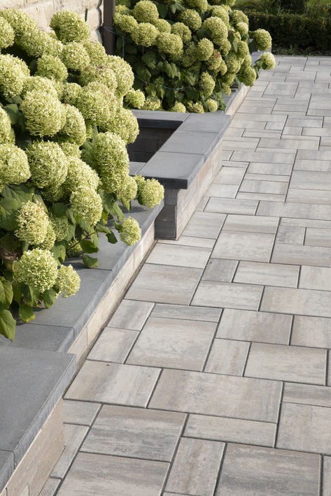 Create the perfect autumn ambiance in your backyard. Shop now!   Colour: Glacier Creek  #fall #patio #inspo #design #outdoorspaces #exterior #ideas #interlock #backyard Interlock Backyard, Backyard Shop, Autumn Ambiance, Fall Patio, Exterior Ideas, Patio Stones, Wood Bridge, Walkway, Outdoor Spaces