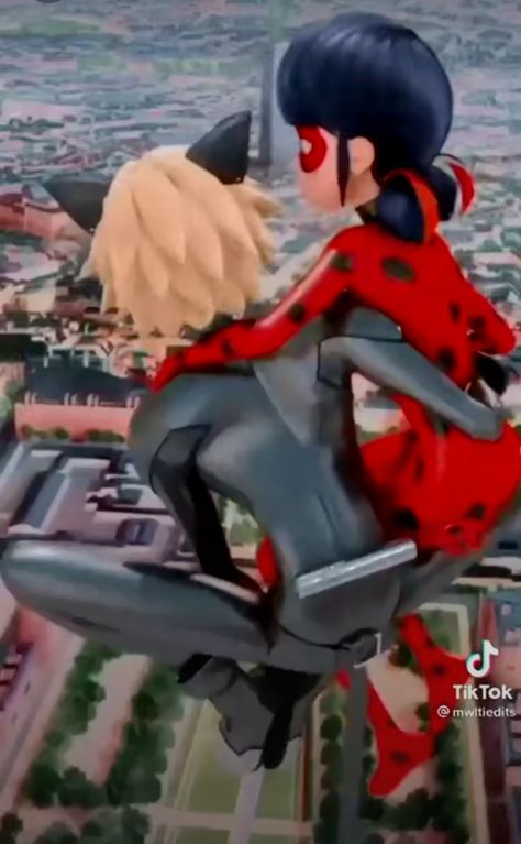 Ladybug E Catnoir, Catnoir And Ladybug, Miraculous Ladybug Oc, Miraculous Wallpaper, Miraculous Ladybug Wallpaper, Miraculous Ladybug Fanfiction, Miraculous Ladybug Movie, Miraculous Ladybug Fan Art, Disney Princess Pictures