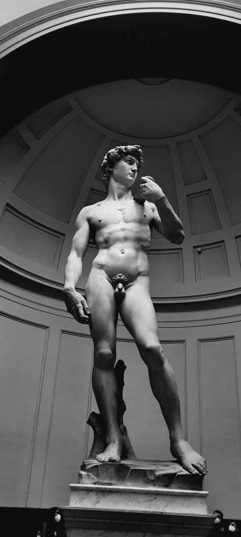 The David Statue in Black and White Statue Of David Aesthetic, David Statue Wallpaper, Statue Of David Wallpaper, The David Statue, Statue Wallpaper, Statue Of David, David Statue, Greek Statues, Wallpaper Laptop