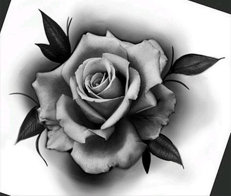 Black And Grey Rose Tattoo, Black And White Flower Tattoo, Rose Tattoo Stencil, Realistic Rose Tattoo, Rose Flower Tattoos, Rose Drawing Tattoo, Rose Tattoos For Men, Blue Rose Tattoos, Realistic Rose