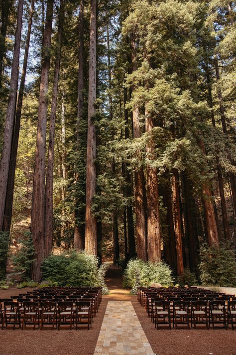 Wedding Venues Forest Woods, Outdoor Wedding Pine Trees, Wedding In The Fall Ideas, Affordable Mountain Wedding, Simple Wedding In The Woods, Woodsy Outdoor Wedding, Wedding In Redwoods, Wedding Woods Forest, October Wedding Venues