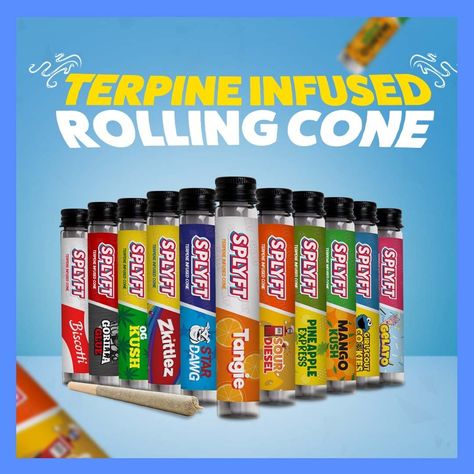 SPLYFT Flavour Infused Terpene Rolling Papers Pre Rolled Cones Air Tight Pack Flavoured Pre Rolled Cones, Glass Sculptures, Girl Scout Cookies, Glass Sculpture, Girl Scouts, Pen Holders, United Kingdom, Rolls, Figurines