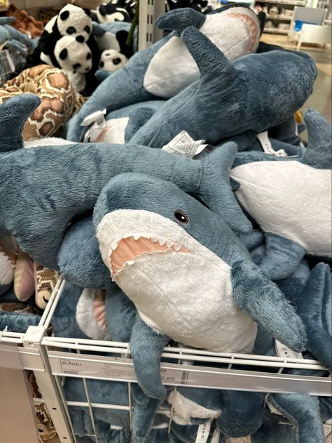 Shark Plushie Aesthetic, Blahaj Pfp, Shark Plushies, Ocean Room Ideas, Ikea Shark, Shark Room, Ocean Room, Toro Inoue, Shark Plush