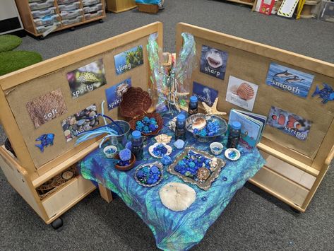 Water Reggio Emilia, Ocean Centers, Reggio Amelia, Kindergarten Prep Activities, Provocations Reggio, Science Table, Childcare Rooms, Reggio Inspired Classrooms, Sea Activities