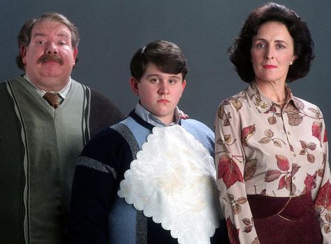 Vernon, Dudley and Petunia Dursley - Harry Potter's nasty uncle & aunt and his 1st cousin. Description from pinterest.com. I searched for this on bing.com/images Harry Potter Fan Theories, Quiz Harry Potter, Scorpius And Rose, Arthur Weasley, Harry Potter Quiz, Anniversaire Harry Potter, Neville Longbottom, The Prisoner Of Azkaban, Prisoner Of Azkaban