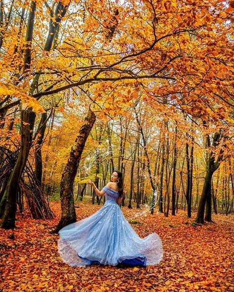 Show Yourself  You are the one you've been waiting for  Welcome to the Enchanted Forest  Last weekend my mama and I took a trip down to the New Forest to stay at the wonderful @montaguarms (gifted) for the night. Luckily I had packed my new Elsa-esque dress because as we were driving through the countryside the woods were in full orange colour and looked exactly like the beautiful enchanted forest from Frozen 2!  This might be one of my favourite photos I've ever created and I hope you love it t Enchanted Forest Gown, Forest Gown, Blue Color Gown, Photoshoot Plus Size, Style Of Wedding Dresses, Fairy Princess Dress, Fairy Gown, Autumn Photoshoot, Autumn Blue