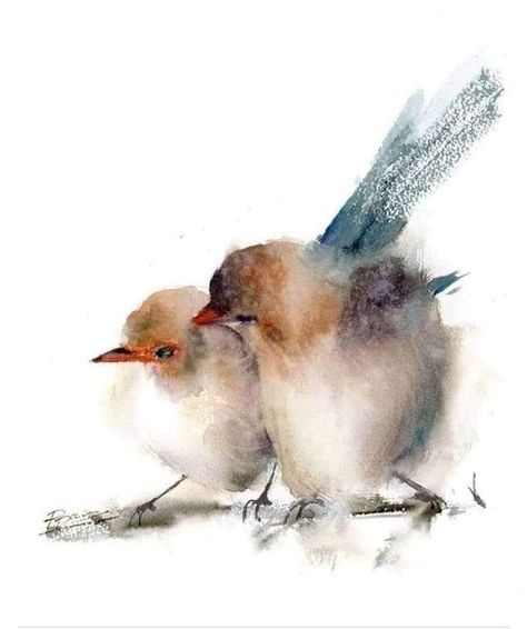 Pair Of Birds, Birds Watercolor, Bird Watercolor Paintings, Watercolor Birds, Birds Nature, Art Watercolor Painting, Watercolor Painting Techniques, Bird Artwork, Bird Wall Art