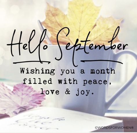 September Quotes Funny, 1 September Quotes, September Quotes Inspirational, Hello September Images, Words For Women, September Images, September Quotes, New Month Quotes, Quotes And Poems