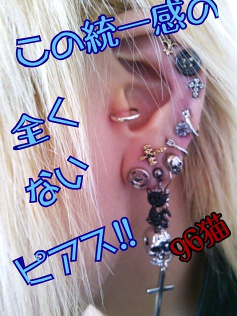 96Neko's heavily pierced ear, from her Twitter Japanese Piercings, Heavily Pierced, Dolly Wink, Cool Ear Piercings, Cool Piercings, Pierced Ear, Cute Piercings, Japanese Aesthetic, Body Modifications