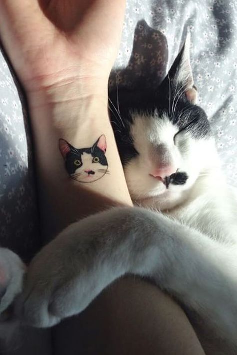 These Cat Tattoos Are The Perfect Way To Honor Your Four-Legged Friend A Cat Tattoo, Kitty Tattoos, Tier Tattoo, Cute Cat Tattoo, Cat Tat, Cat Tattoos, Cat Tattoo Designs, Tiny Tattoo, Cat Portraits