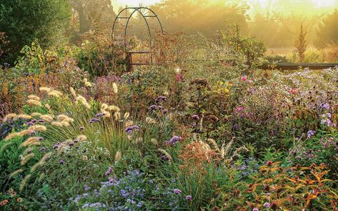 Autumn Cottage Garden, Fall Cottage Garden, Garden Hardscape, African Garden, Planting Combinations, Fine Gardening Magazine, Seaside Garden, Chicago Botanic Garden, Landscape Inspiration