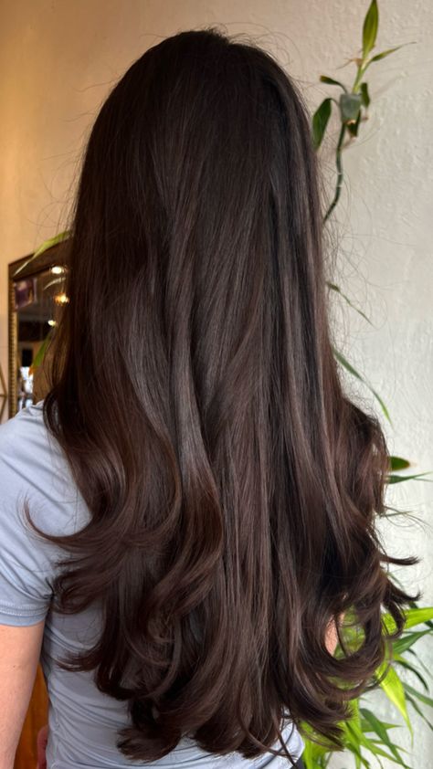 Long hair / Haircut / Style Brown Hair Blowout, Darkest Brown Hair, Dark Balayage, Hair Blowout, Graduation Hairstyles, Blowout Hair, Hoco Hair, Dark Brown Hair, Hair Dos