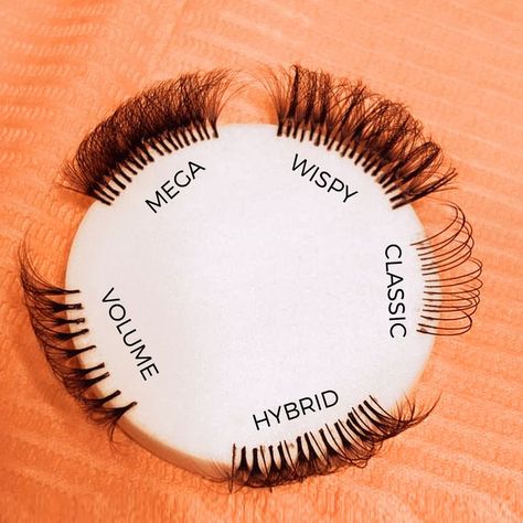 Eyelash Extension Room Ideas, Different Lash Curls, Lash Advertising Ideas, Lashing Aesthetic, Lash Portfolio, Lash Types, Client Intake Form, Make Up Diy, Eyelash Decor