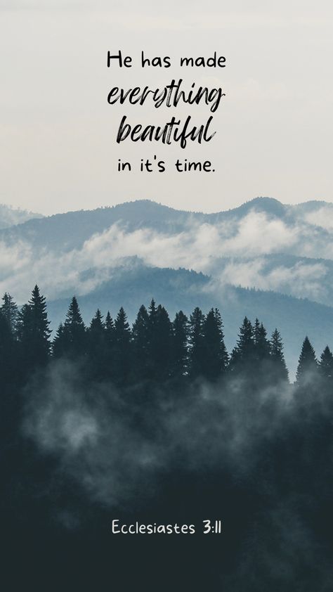 Bible Verse About Travel, Bible Verse About Mountains, Adventure Bible Verses, Ecclesiastes 3 11 Wallpaper, Prettiest Wallpapers, Mountain Bible Verse, Bible Verse Mountains, Bible Verses About Beauty, Bible Quotes Healing