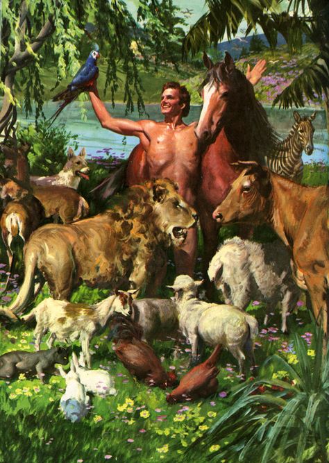 Genesis 2:20 - "And Adam gave names to all cattle, and to the fowl of the air, and to every beast of the field; but for Adam there was not found an help meet for him." Harry Anderson, Fig Leaf, The Garden Of Eden, Bible Images, Bible Illustrations, Creation Story, Bible History, Bible Characters, Bible Pictures