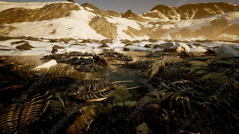 Ordovicianâ Silurian mass extinction, illustration - Stock Image - C050/6400 - Science Photo Library Animal Extinction Art, Mass Extinction, Extinction Rebellion, Dinosaur Extinction Art, Species Extinction, Conference Poster, Library Website, Science Photos, Photo Library