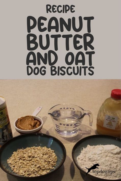 Recipe: Peanut Butter and Oat Dog Biscuits Dog Treats With Oats And Peanut Butter, Doggie Biscuits Recipes, Dog Biscuits Homemade Peanut Butter, Puppy Biscuits Homemade, How To Make Dog Biscuits, Homemade Dog Biscuits Recipe, Home Made Dog Biscuits Recipes, Peanut Butter And Oats Dog Treats, Dog Biscuits Homemade Easy