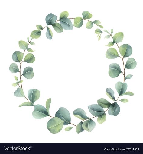 Watercolor wreath with eucalyptus branches vector image White Background Flower, First Communion Decorations, Communion Decorations, Watercolor Vector, Branch Vector, Watercolor Wreath, Watercolor Flowers Tutorial, Flower Graphic Design, Floral Wreath Watercolor