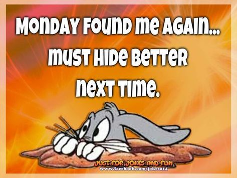 Monday found me again monday monday is coming funny monday images monday humor quotes Happy Tuesday Meme, Tuesday Meme, Monday Pictures, Monday Humor Quotes, Monday Morning Quotes, Funny Day Quotes, I Hate Mondays, Good Morning Funny Pictures, Monday Humor