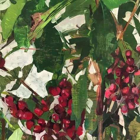 Christina Weaver on Instagram: "This past winter I had the pleasure of completing a coffee plant triptych for the @starbucksartprogram. I was sent a fully grown tree to work from, which brushed my studio ceiling and transformed my workspace into a greenhouse during the coldest months. Here is a detail of the 3rd painting in the set - the red ripe coffee cherry stage. • #starbucks #starbucksartprogram #coffeeplant #coffeeberries #coffeecherries #oilpainting #botanicalpainting #plantpainting #cof Coffee Plant Painting, Coffee Plant Drawing, Coffee Bean Painting, Coffee Plant Watercolor, Coffee Plant Illustration Design, Bean Plant, Coffee Plant, My Workspace, Plant Painting