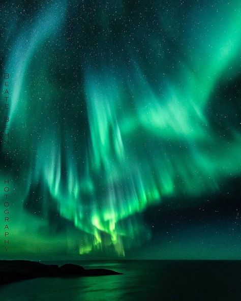 Aurora Borealis Skyfall in Norway   by @beatebehnke Zicxa Photos, Northern Lights Photography, Northern Lights (aurora Borealis), Aurora Borealis Northern Lights, Polar Light, Sky Full Of Stars, Skyfall, The Aurora, Aesthetic Images