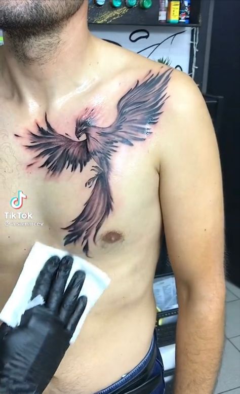 Phoenix On Chest Tattoo, Phoenix Tattoo Chest For Men, Phoenix Chest Tattoo Female, Phoenix Tattoo Chest, Pheonix Tattoo Male, Male Phoenix Tattoo, Phoenix Chest Tattoo, Back Tattoos For Guys Upper, Phoenix Tattoo Men