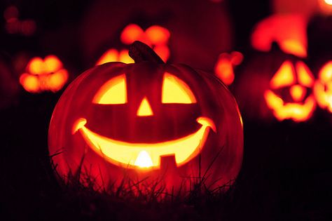 Smiling jack o lantern smile halloween halloween pictures halloween images halloween ideas jack o lantern Bucket List For Girls, Halloween Tumblr, Lantern Ideas, Jack O'lantern, Halloween Horror Nights, Halloween Jack, Halloween Boo, Pics Art, Halloween Horror