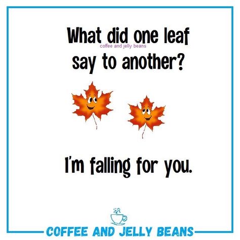 Fall Jokes, Children Jokes, Friday Funnies, Thanksgiving Jokes, Kid Jokes, Kids Jokes, Funny Corny Jokes, Bad Dad Jokes, Lunchbox Jokes