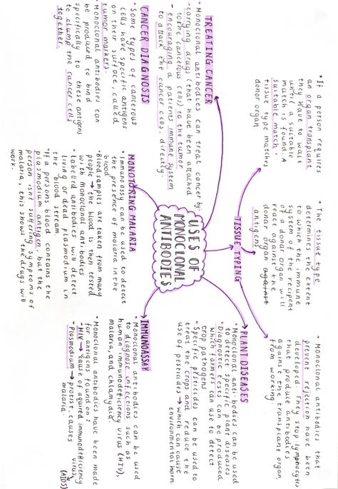 Study Maps Ideas, Aesthetic Flowchart Ideas, Aesthetic Mindmap Ideas, Aesthetic Mind Maps Ideas, Concept Map Aesthetic, Mind Map Inspiration, Study Mind Maps, Mind Mapping For Studying, Aesthetic Mind Map Notes