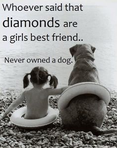 Dog Best Friend Quotes, Dice Quotes, Animal Lover Quotes, Dog Mom Quotes, Puppy Quotes, Miss My Dog, Dog Lover Quotes, Dog Quotes Love, 20th Quote