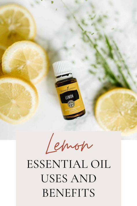 One of the things I love about essential oils is how versatile they are; Lemon essential oil has so many uses and benefits! You may purchase an essential oil for one for a specific reason only to find out they have a whole list of other ways that you can incorporate them into your day. Jade Lemon Essential Oil Young Living, Essential Oils For Earache, Lemon Essential Oil Uses, Essential Oils For Fever, Lemon Essential Oil Benefits, Young Living Lemon Essential Oil, Lavender Essential Oil Uses, Young Living Lemon, Fennel Essential Oil