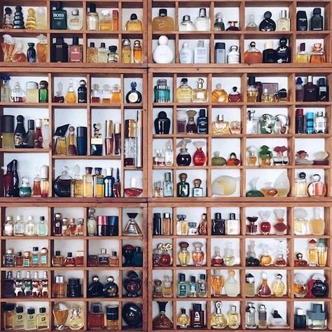 Perfume Collection Display Ideas, Mini Perfume Collection, Perfume Collection Display, Perfume Bottle Collection, Mini Perfumes, Penyimpanan Makeup, Collection Perfume, Designer Perfumes, Perfume Storage