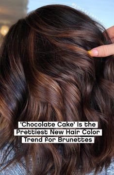 New Hair Color Trends, Face Framing Curtain Bangs, Bangs Straight, Brown Hair Looks, Fall Hair Color For Brunettes, Haircut And Color, Hair Color And Cut, New Hair Colors, Fall Hair Color