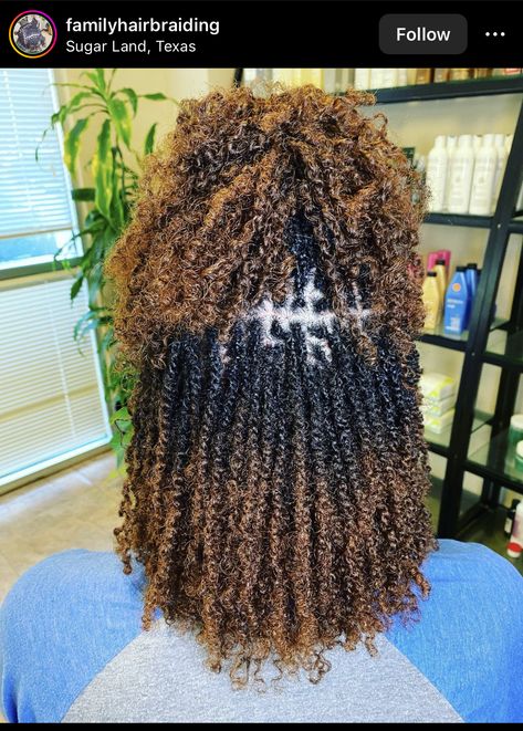 Trendy Twist Hairstyles, Afro Kinking Hair Styles, Goddess Mini Twists, Lock Twist Hairstyles, Micro Twists Styles, Afro Twist Hairstyles Short Natural Hair, Twist For Short Natural Hair, Colored Micro Locs, Short Twist Braids Hairstyles Senegalese