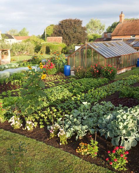 Kitchen Garden Inspiration, Field Garden Ideas, Vegetable Garden In Ground, Backyard Food Garden, Garden In Ground, Food Garden Design, Portage Garden, Dig Gardens, Farm Living