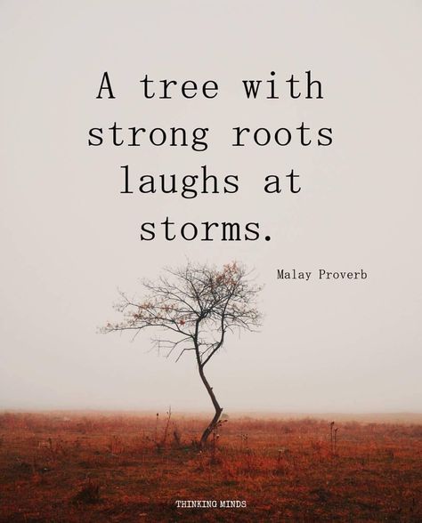 Roots Quotes, Tree With Roots, Tree Quotes, Truth Of Life, Nature Quotes, English Quotes, Mindfulness Quotes, Famous Quotes, Meaningful Quotes