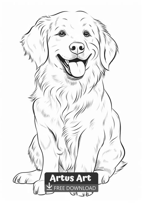 Cute Golden retriever Coloring Page - Free PDF Download Coloring Page. Are you looking for a Golden retriever coloring page? The download of the PDF file is completly free. #goldenretrievercoloringpage #cutegoldenretrievercoloringpage #goldenretriever Golden Retriever Coloring Pages, Whimsey Art, Golden Retriever Sketch, Golden Retriever Colors, Tatoo Dog, Drawing Dogs, Watercolor Dogs, Cute Golden Retriever, Dog Coloring Book