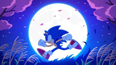 Sonic Channel/Gallery | Sonic News Network | Fandom Sonic Pc, Sonic Channel, Big The Cat, Sonic Unleashed, Sonic Heroes, Silver The Hedgehog, Sonic Funny, Sonic Fan Characters, Sonic Franchise