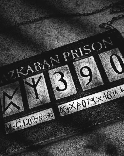 Harry Potter Black And White, Prisoner Of Azkaban, Black And White Aesthetic, White Photo, White Aesthetic, Aesthetic Photo, Image Search, Harry Potter, Black And White