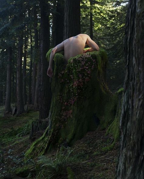 Alex Stoddard, Shrimply The Best, Nature Witch, Fairy Tattoo, Redwood Forest, My Goals, Make Photo, Forest Fairy, My Story