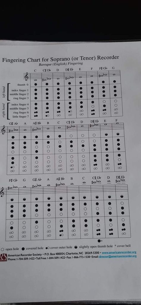 Recorder Finger Chart, Recorder Fingering Chart, Hand Ring, Music, Quick Saves