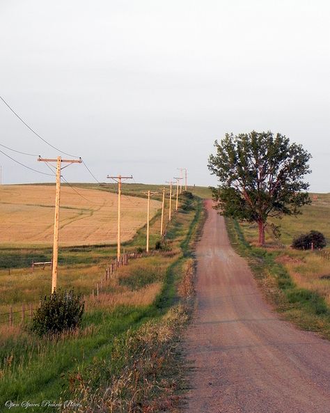 No better way to clear your mind then takin' an old back country road. ♥ Southern Usa Aesthetic, Southern America Aesthetic, Southern Nostalgia, America Core, Southern America, Farm Aesthetic, Third Space, Farm Town, Country Summer