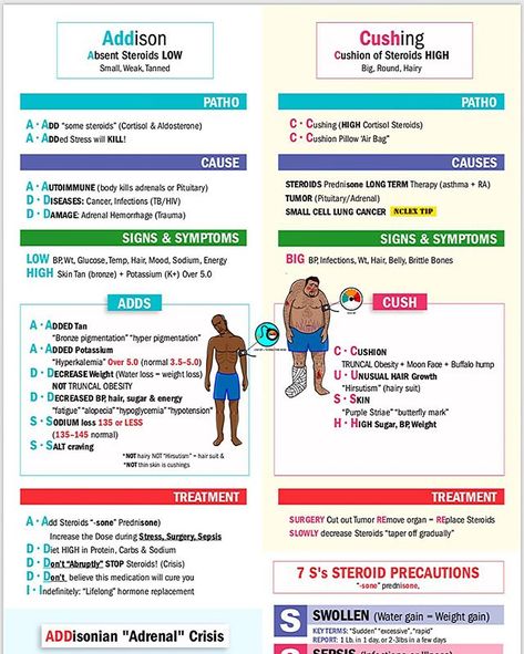 How to do I memorize the signs & symptoms of Addisons vs Cushing syndrome? Simply remember “ADDs & CUSH” 🤓📝 Get this new “cheat sheet”… Nursing Med Surg, Endocrine Nursing, Cushing Syndrome, Endocrine System Nursing, Pathophysiology Nursing, Simple Nursing, Nclex Tips, Nursing Study Tips, Paramedic School