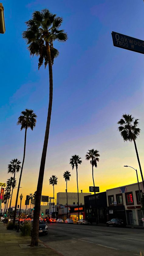 Fairfax Avenue. Fairfax Avenue Los Angeles, Fairfax Los Angeles, Santa Monica Blvd, Content Ideas, Los Angeles California, Santa Monica, West Coast, Mood Board, Angeles