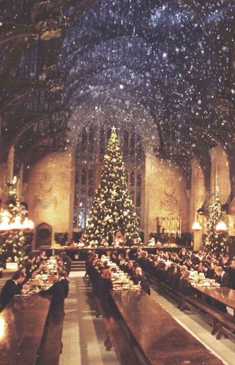 IPHONE WALLPAPER... Harry Potter Weihnachten, Video Photoshoot, Hogwarts Christmas, Images Harry Potter, Harry Potter Christmas, Wallpaper Tumblr, Iphone Backgrounds, Wallpaper Iphone Christmas, Food Quotes